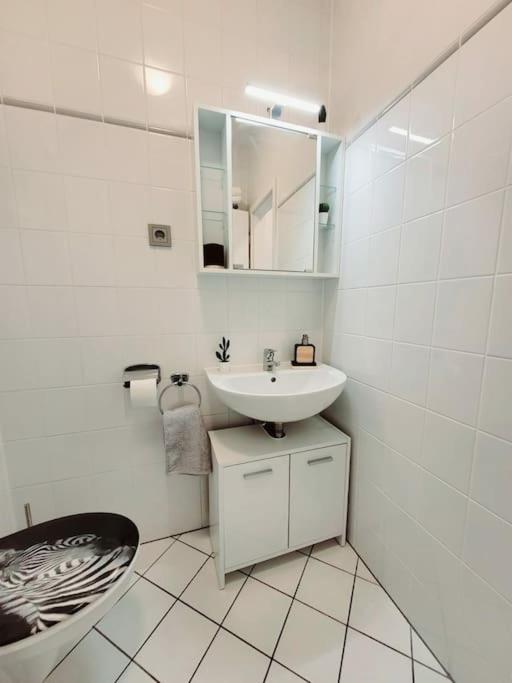 Gemuetliches Helles Appartement Drážďany Exteriér fotografie