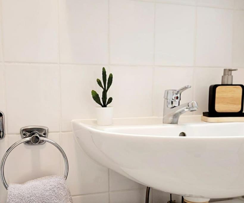 Gemuetliches Helles Appartement Drážďany Exteriér fotografie